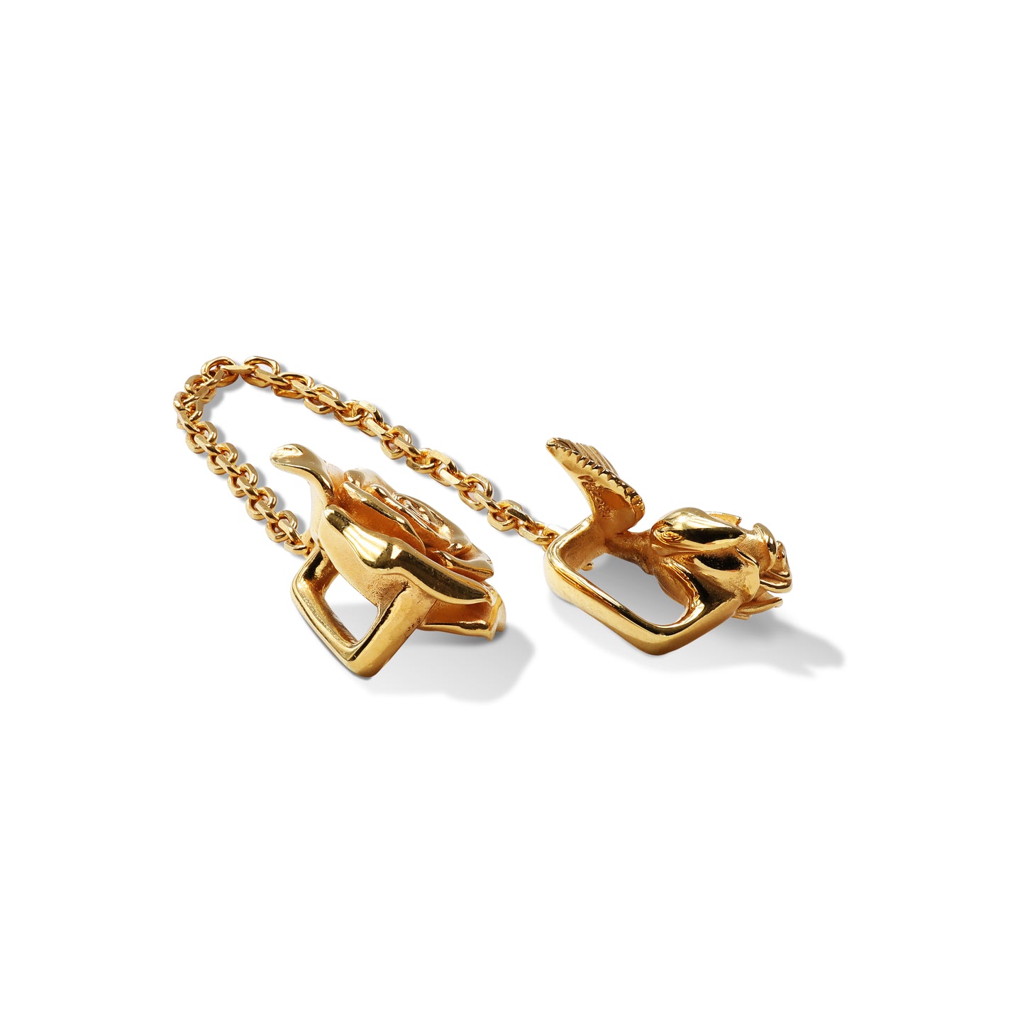 Rosa rosa shoes jewelry